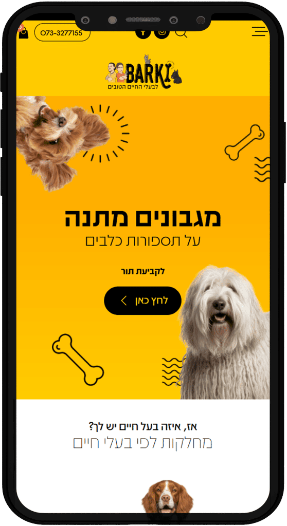 תמונה של אתר בארקי בתצוגת טלפון נייד