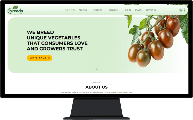 צילום מסך של אתר ברידאקס